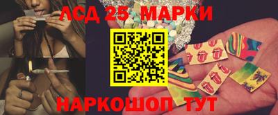 гидропоника Пушкино