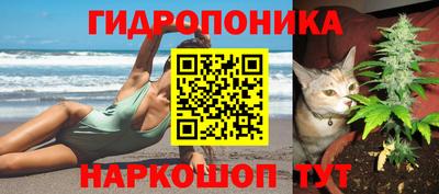гидропоника Пушкино