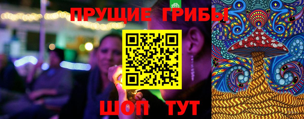 Псилоцибиновые грибы Psilocybe  Вход с VPN  Батайск  Галлюциногенные грибы мицелий 