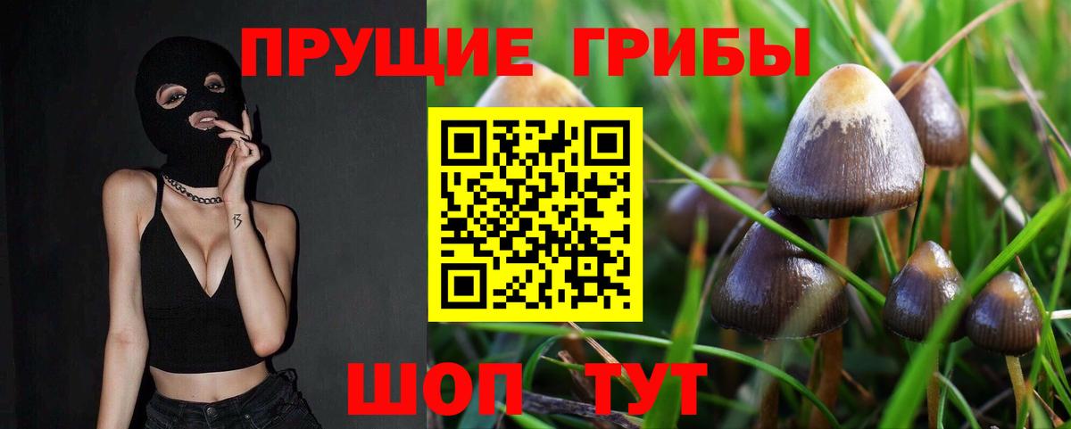 Псилоцибиновые грибы прущие грибы Батайск